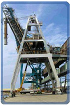 WESTERN GLOBAL PTY LTD